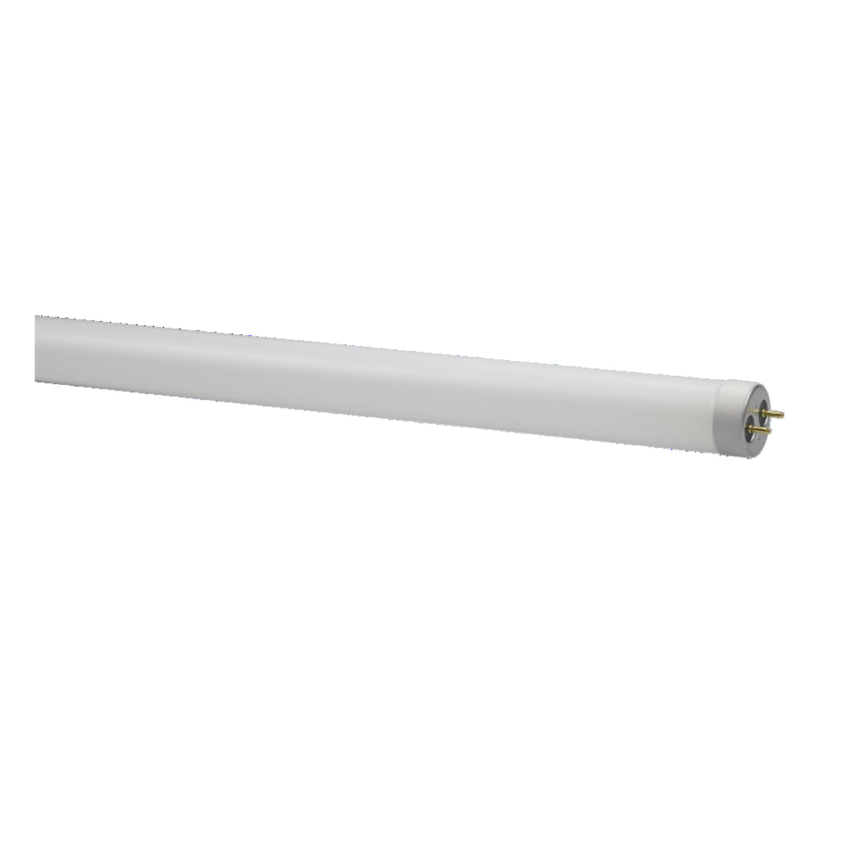 ledsion glass tube light