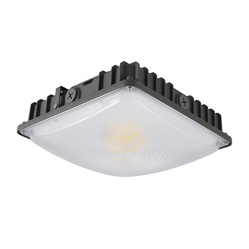 4NCP Canopy Light