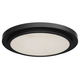LED Ceiling Light
