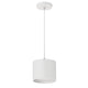 LED Cylinder Downlight