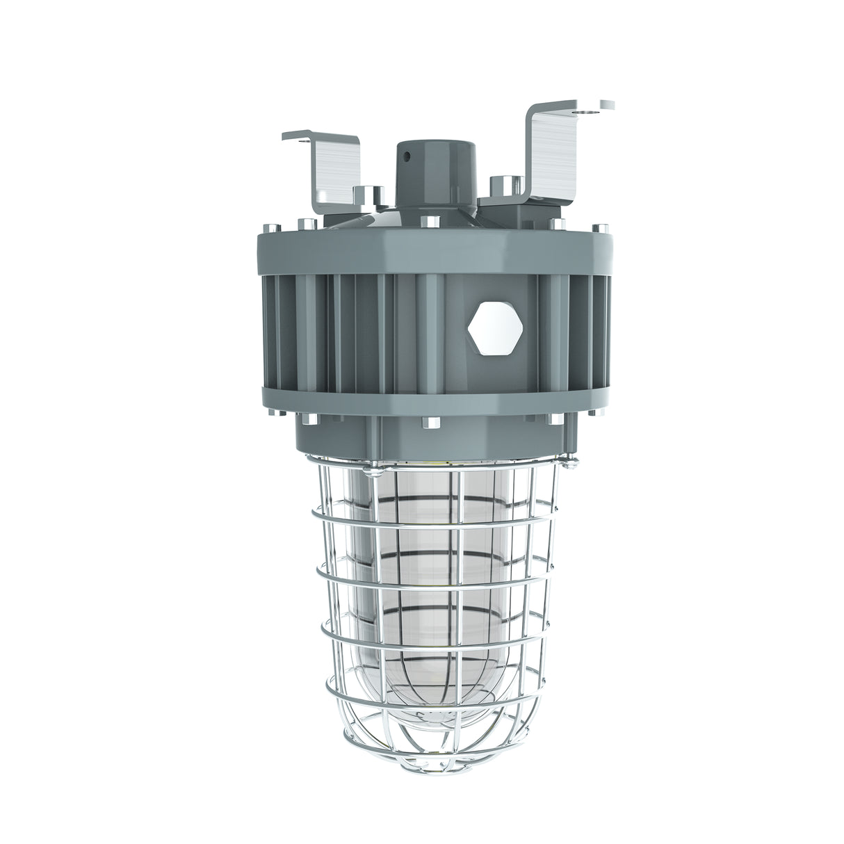 40W Explosion-Proof Jelly Jar Light-Class I Division 1–40W-5000K-AC 100–277V | LSEX-40W GD50D120C